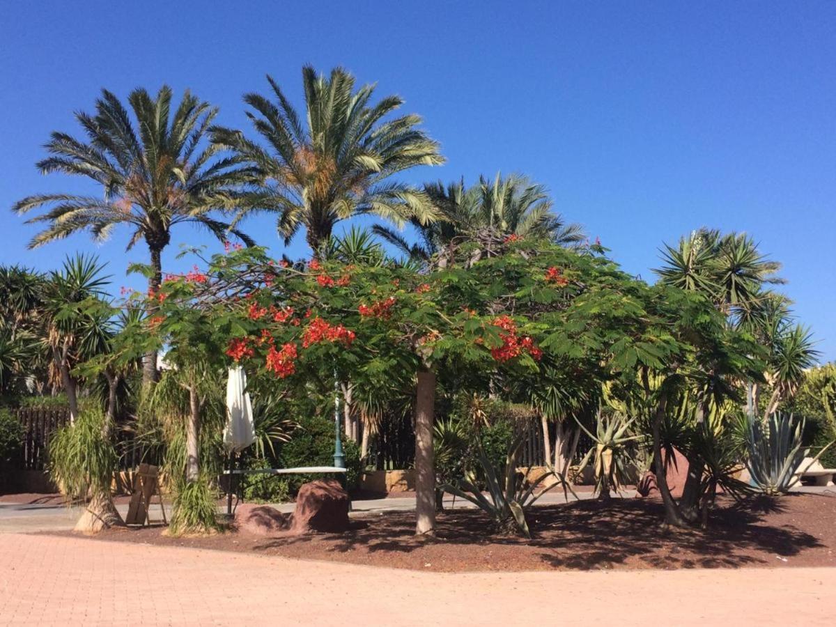 Canary Getaway Caleta De Fuste Exterior photo